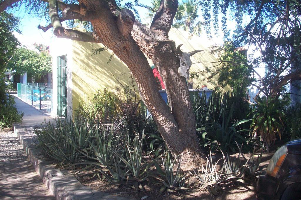 Casabuena B&B La Paz Εξωτερικό φωτογραφία